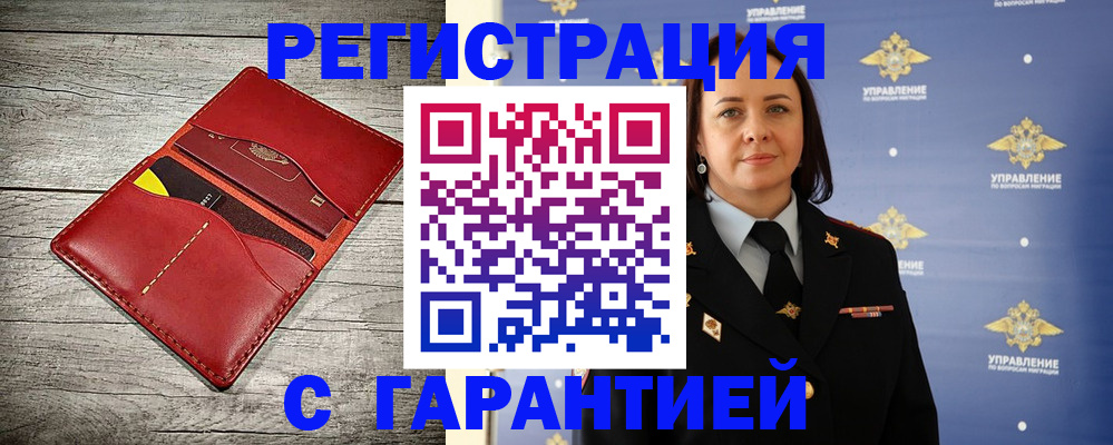 прописка поиск в Камышине